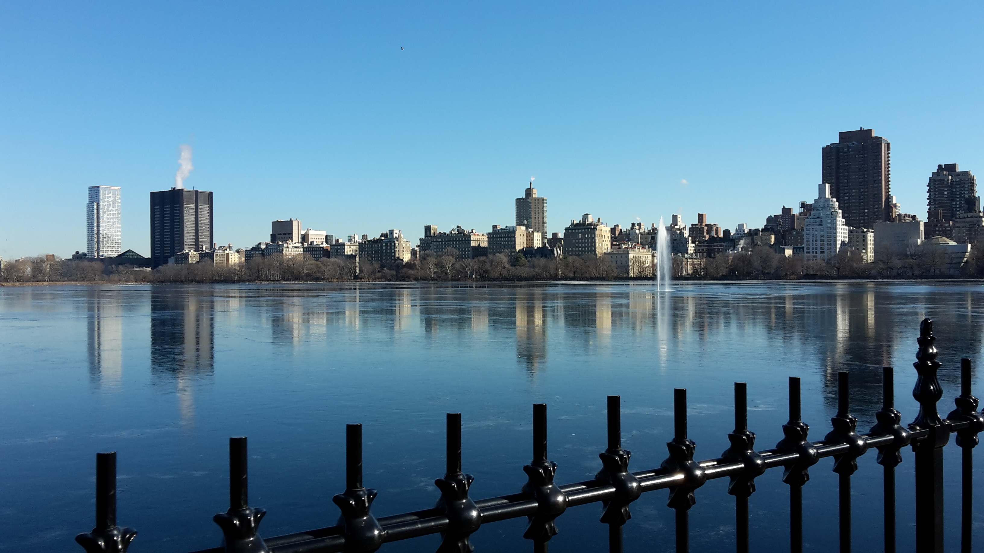 New York City Skyline Central Park